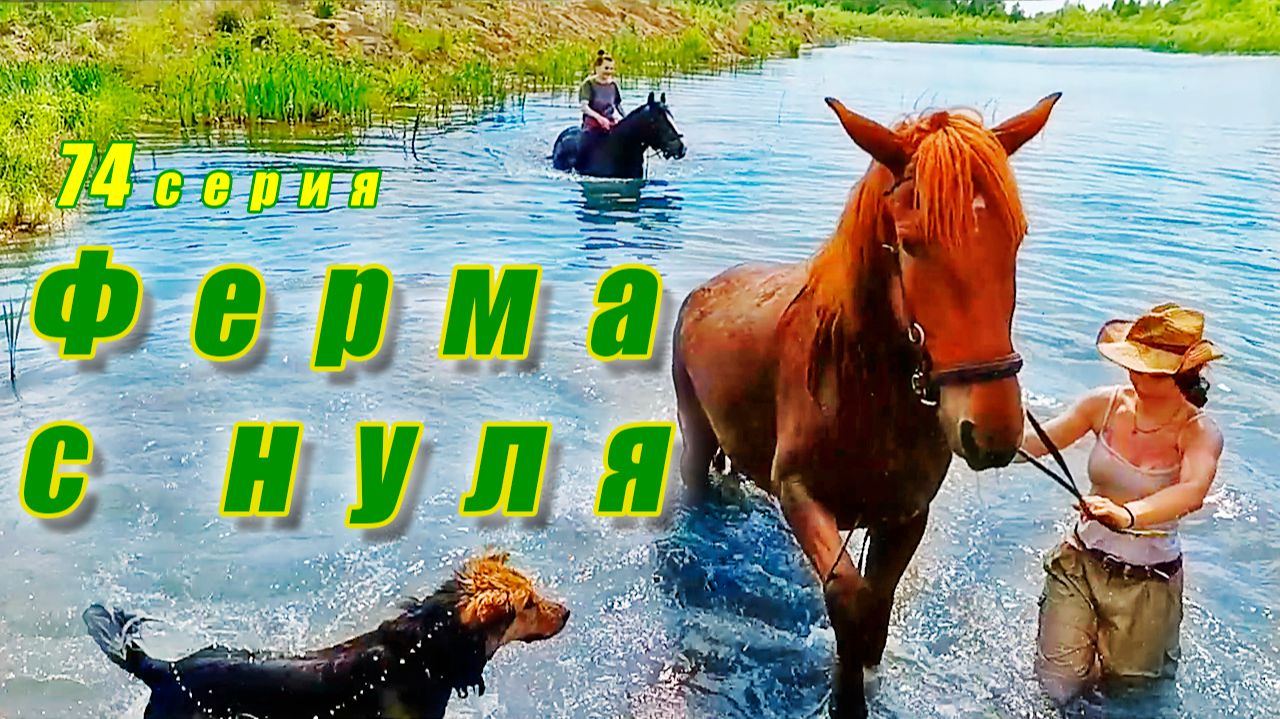 Открытие купального сезона / Купание нового коня / Водный мир / Ферма с нуля серия74