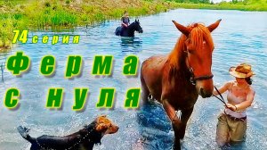 Открытие купального сезона / Купание нового коня / Водный мир / Ферма с нуля серия74