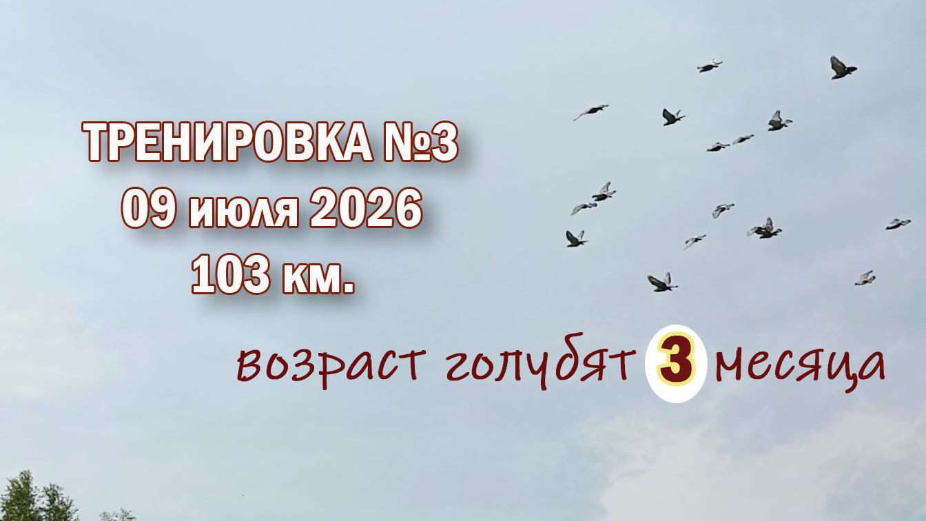 тренировка3 смотреть онлайн