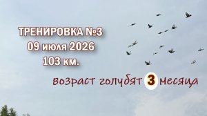 тренировка3
