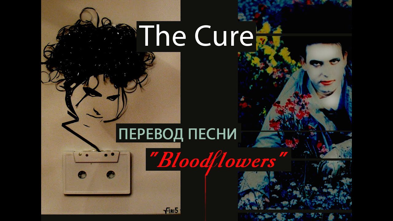Cure - перевод песни смотреть онлайн