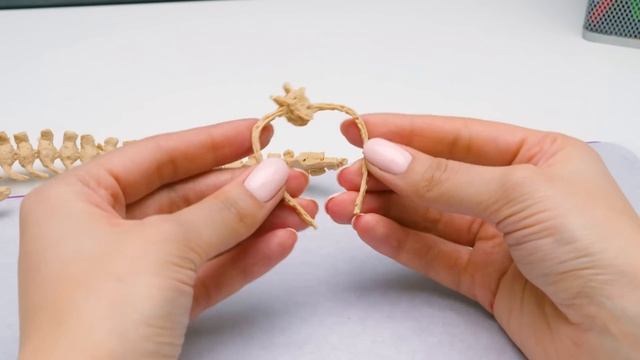 Делаем реалистичный скелет тираннозавра в технике 3D смотреть онлайн