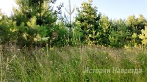 Возвращаясь с дачи свекрови, Оля заметила, что в ее окне погас свет, но муж ведь остался на даче…