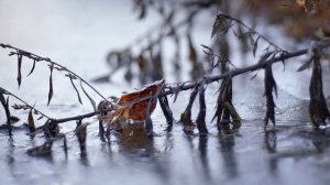 Ох уж пьянство – это боль. Альт-кантри - стихи Виктора Левашова, Ярославль.