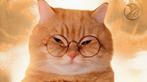 PHONK_MONTAGEM MIAU