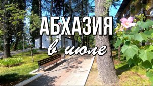 Погода в Абхазии в июле: чего ждать и как подготовиться
