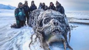 Как сократили жизнь с 1000 до 300 лет