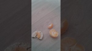 дигустация
