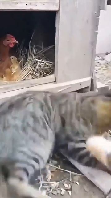 БЫВАЕТ смотреть онлайн