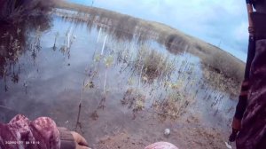 Сегодня маленько порыбачил на пруду на поплавок🎣 Прикормка  Жмых-Дробленка. Наживка навозный червь.