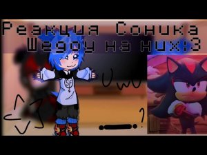 •|Реакция Соника и Шедоу на них|•