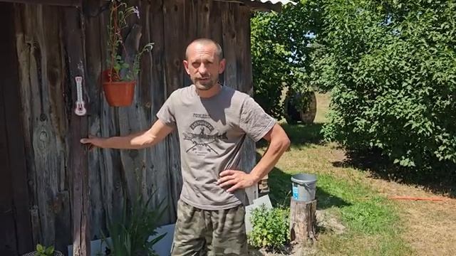 Выживаем на хуторе в дикую жару 39C Обустраиваем рабочую зону Из ОДНОЙ царской рыбы ДВА блюда [get.g смотреть онлайн