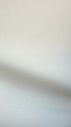 еду в поезде