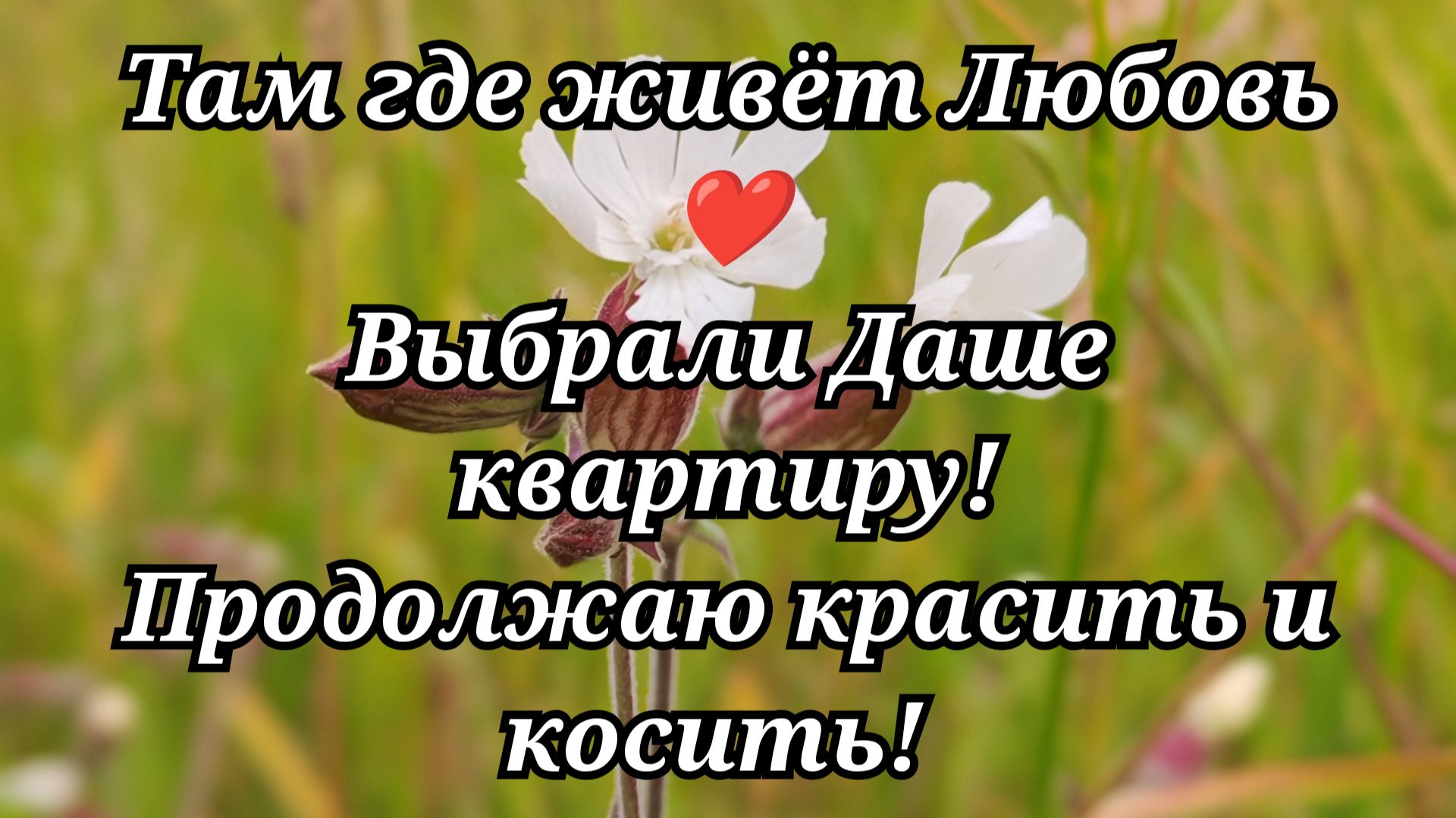 #154 Выбрали Даше квартиру! Продолжаю красить и косить!