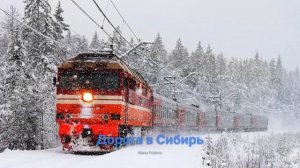 Дорога в Сибирь