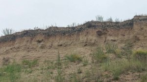 Пляжный поход по обскому побережью города Бердска. Фантастические пейзажи и дальняя даль🌅 05.07.202