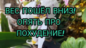 УРА! ВЕС ПОШЁЛ ВНИЗ! ОПЯТЬ ПРО ПОХУДЕНИЕ!