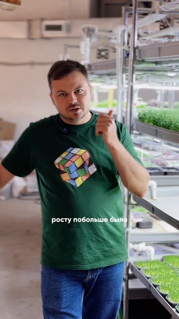 🌿 Удобрения для микрозелени: нужны или нет?