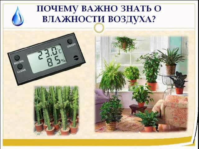 Урок_6_класс_география.wmv смотреть онлайн