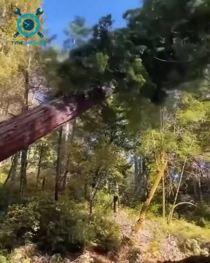 150 залипательных видео, невероятных производств и работников.