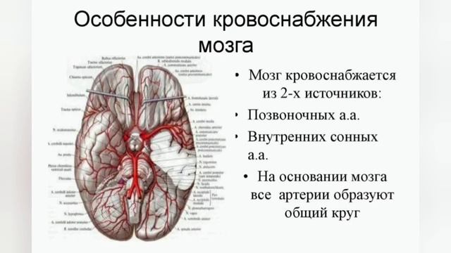 Ухудшилось кровоснабжение мозга, падает зрение, слух? Освободите от сдавливания 2 ключевых нерва