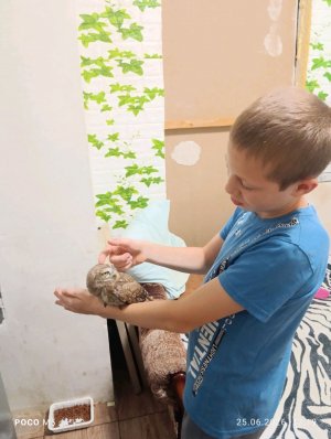 юра