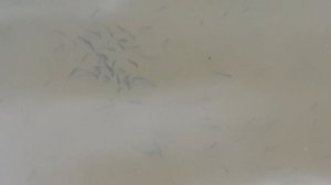 Влог одного дня // миссия: связать носок за день