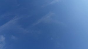 09.07.26 г. Андижанская порода голубей (2)