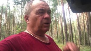 За лисичками в Мари-Эл.