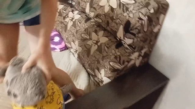 Басики заболели смотреть онлайн