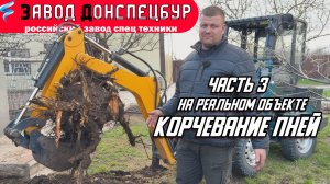 КОРЧЕВАНИЕ ДЕРЕВЬЕВ ЭКСКАВАТОРНОЙ УСТАНОВКОЙ / МОДЕЛЬ ПРОФИ / ВОЛГОДОНЕЦ