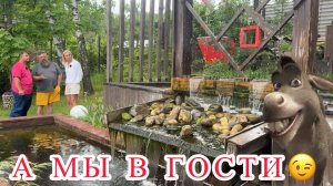Маша, рыбки и Моховая Борода...
