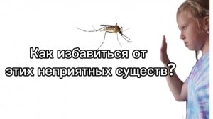 Как избавиться от укусов насекомых!