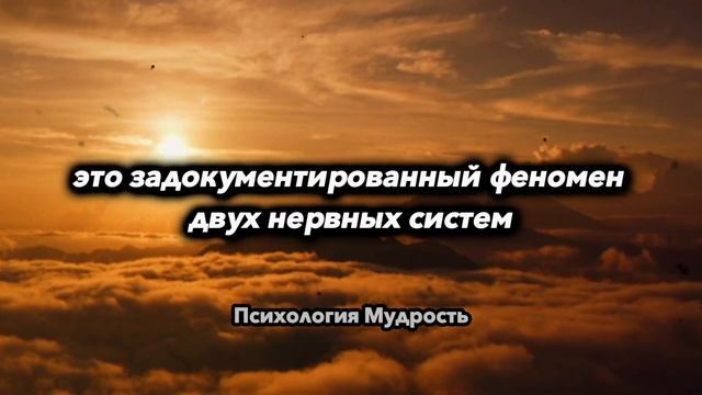 ЧЕЛОВЕК, О КОТОРОМ ТЫ ДУМАЕШЬ, ДУМАЕТ О ТЕБЕ — ПСИХОЛОГИЧЕСКОЕ ОБЪЯСНЕНИЕ смотреть онлайн