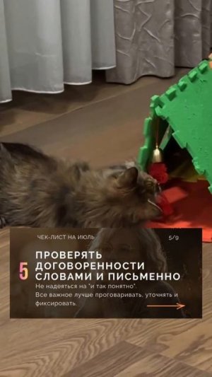 Чек лист на июль 2026