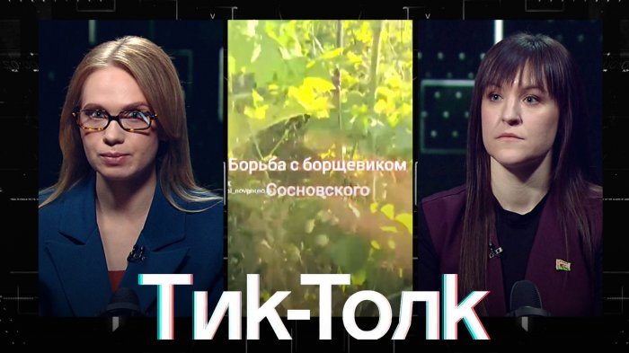 КТО ДОЛЖЕН КОСИТЬ? Конфликты из-за золотарника, штрафы за высоту травы и борьба с сорняками
