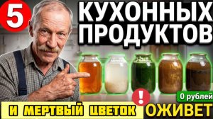 Вы это ВЫБРАСЫВАЕТЕ каждый день - а это ЛУЧШЕЕ удобрение на Земле