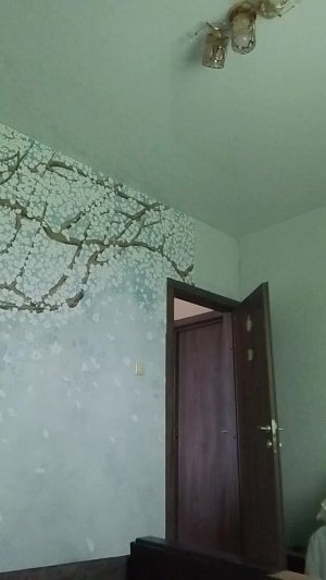 Прить