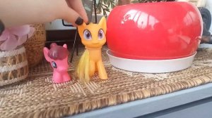 первое видео (знакомство )