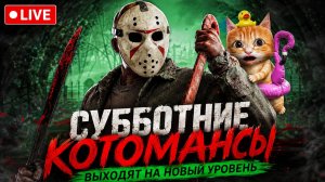 ОПА ОПА, КОТОМАНСЫ 🐾 Dead by Daylight