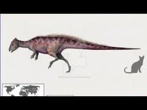 Гомалоцефал — интересный пахицефалозавр. #рекомендации #динозавры #dinosaur #палеонтология смотреть онлайн