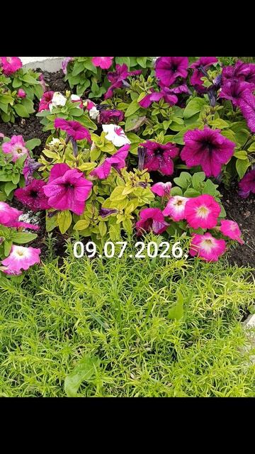 Девиз дня!✨🌈☀️09.07.2026. Энергия… Тело… Душа… Важные слова! #разум #чувства #дела
