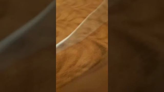 ЙцВ смотреть онлайн