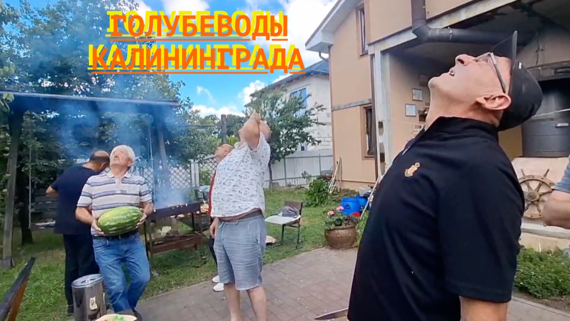 Голуби Эдуарда в Калининграде! 2026г смотреть онлайн
