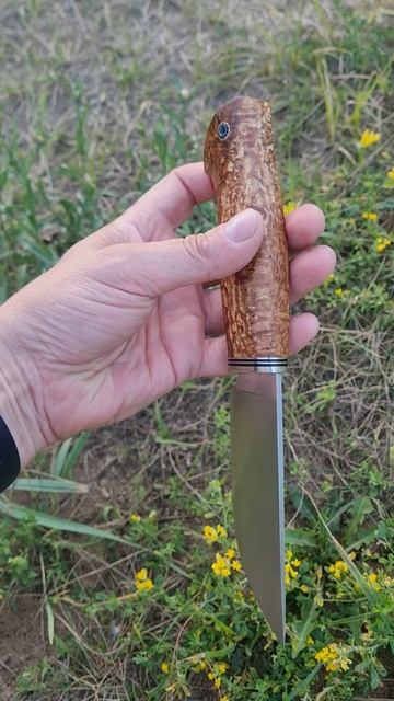 Нож Разделочный из нержавеющей порошковой стали М398