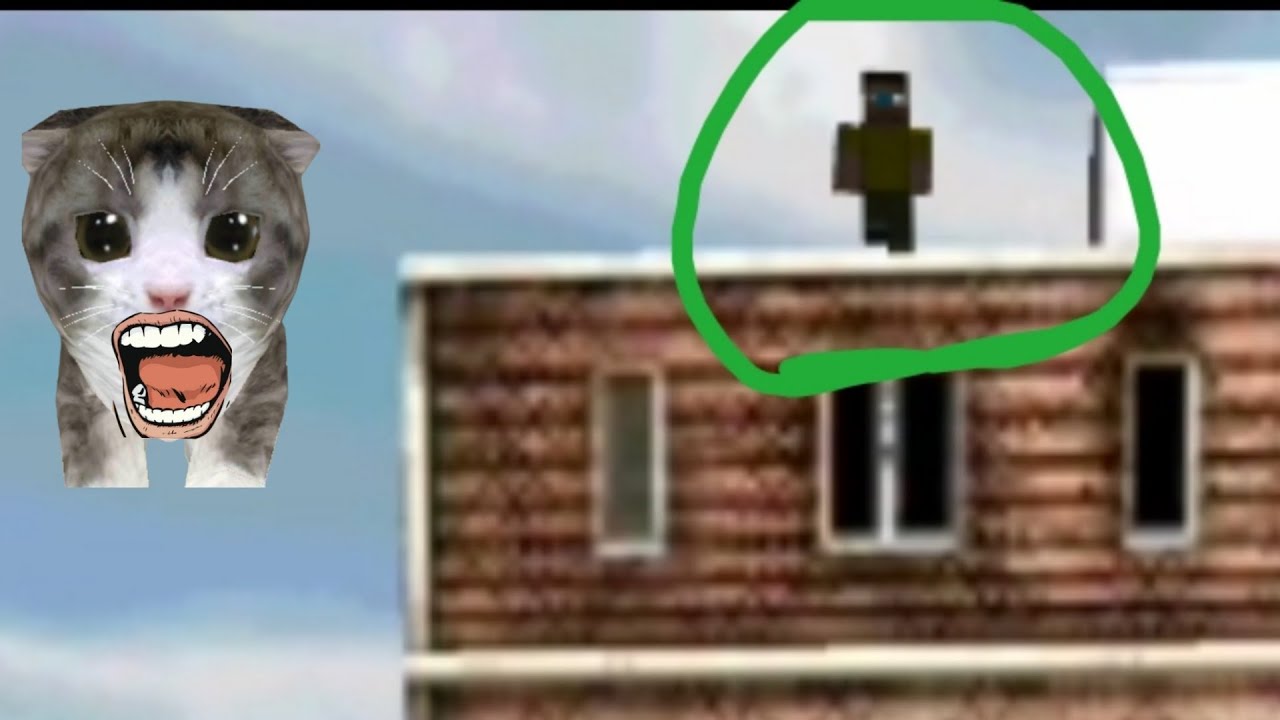Kitten Cat Simulator 3d ХОЗЯИН ПОПАЛ НА КРЫШУ!!! #2