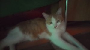 1000004067.mp4