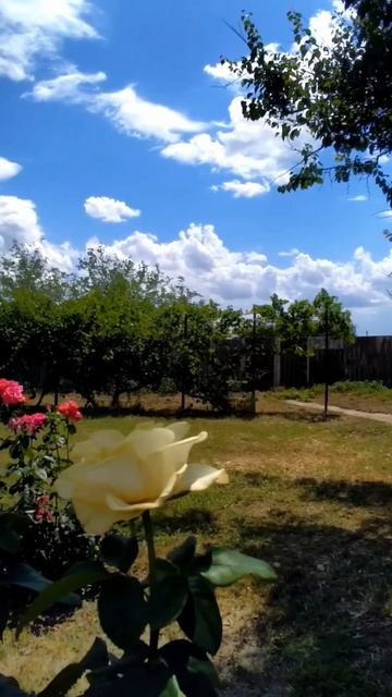 🏡 Дом на Юге 📋Баня, Гараж, Погреб 🔻 91 м²🦯33 сот. 💰3 600 000₽📍х. Красная Поляна📲89245404992🌴
