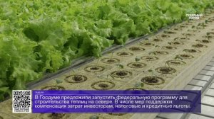 ДАЙДЖЕСТ «СЕВЕРНОГО ГОРОДА», 09.07.2026