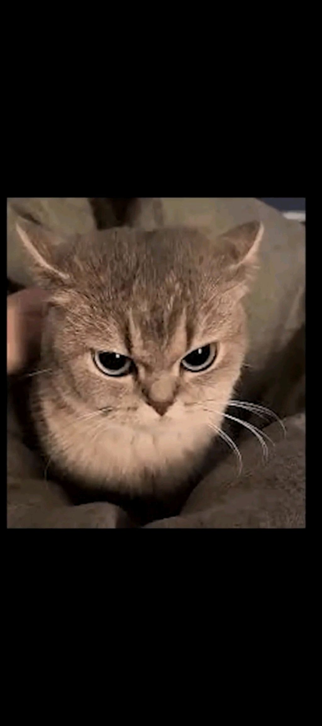 Мы школьники 😎 смотреть онлайн